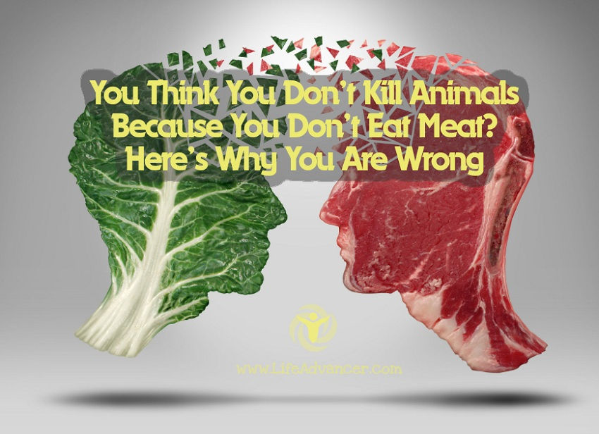 You Think You Don’t Kill Animals Because You Don’t Eat Meat? Wrong